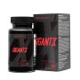 GigantX