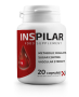 INSPILAR