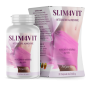 SLIM4VIT