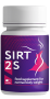 Sirt2S